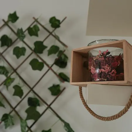 Appartement Opia - Old Town