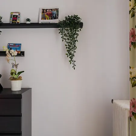 Opia - Old Town Βουκουρέστι